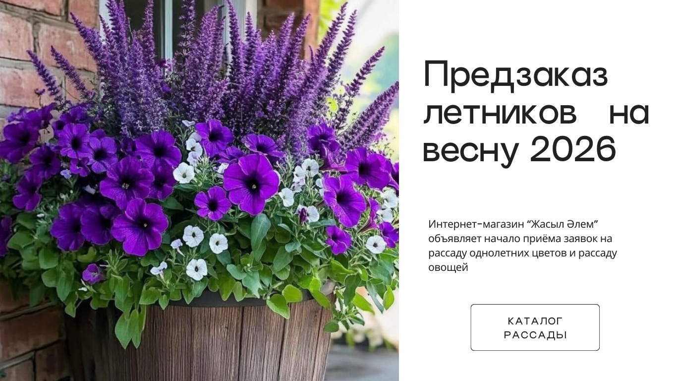 Food Business Website in White Sleek and Simple Style (2)