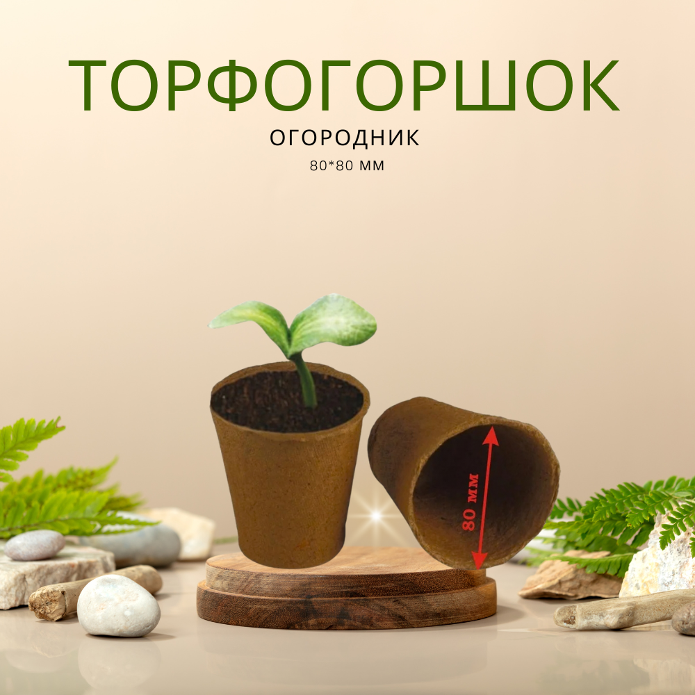 Кассета для рассады (3)